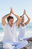 Concentrated woman and man practicing yoga