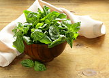fresh green basil on a wooden background