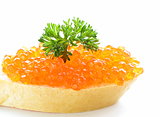 delicacy appetizer red caviar on a white baguette