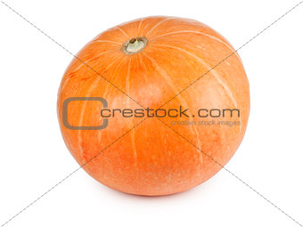 yellow pumpkin vegetable isolated on white background