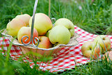 green apples in a basket on the grass