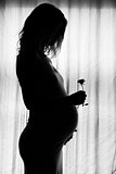 silhouette of a pregnant woman on a white background