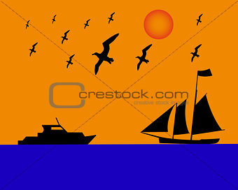 sailing boat albatrosses