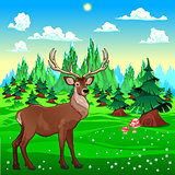Deer in mountain landscape.