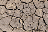 dry earth as texture