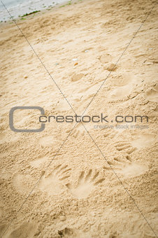 Hand prints in the sand