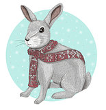 Cute rabbit with scarf winter background