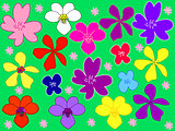 Flowers with green background