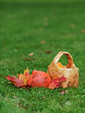 Halloween pumpkin with basket and leaves