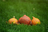 three Halloween pumpkins on green grass