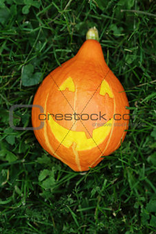 Halloween pumpkin on green grass