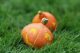 two Halloween pumpkins walking on grass