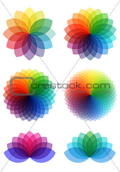 abstract color flowers, vector set