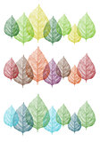 colorful leaves, vector set