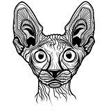 Vector illustration of cat head