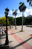 palms in Central Park of Havana