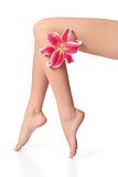Smooth and waxed perfect woman legs with a flower