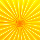 Vector abstract background with rays