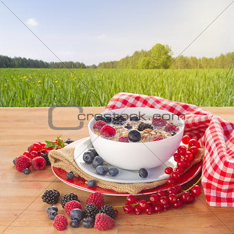 The oat flakes  porridge with milk and berries