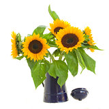 sunflowers in flower pot