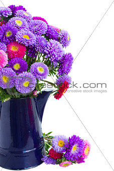 bouquet of  aster flowers in blue pot