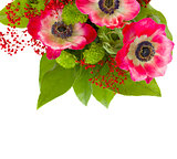 bouquet of red anemone flowers