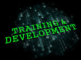 Training and Development. Educational Concept.