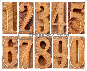 wood type numbers isolated