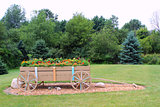 Wagon with Flowers