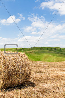 Tuscany agriculture