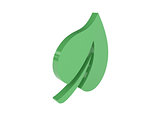 Green leaf icon over white background.