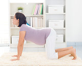Prenatal yoga at home