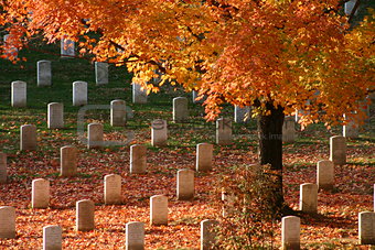 Fall at Arlington National Cemetery