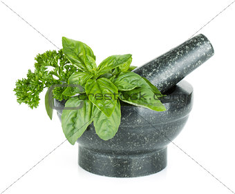Fresh flavoring herbs and spices in mortar