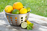 Fresh ripe citruses in colander