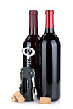 Two red wine bottles