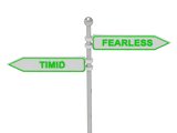 Signs with green "TIMID" and "FEARLESS" 
