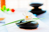 Still life with a black stone and a flower in the style of zen-like