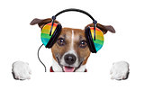 music dog