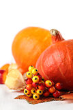 Autumn decoration with hokkaido pumpkins