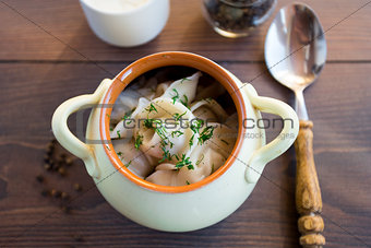 Fresh boiled meat dumplings served with dill