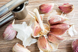 Organic garlic