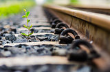 Railway and plant