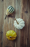 Still life with pumpkins. Autumn arrangement