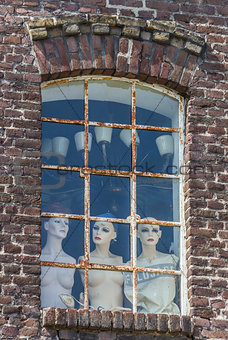 Mannequins in the window
