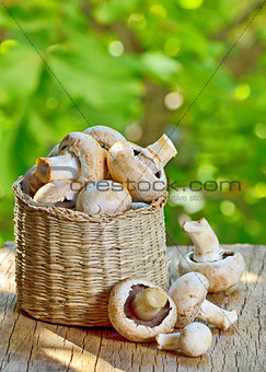 mushrooms in straw basket