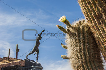 Cactus and statue
