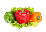 Colorful bell peppers with lettuce
