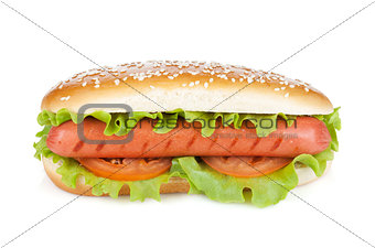 Hot dog with lettuce and tomato slices