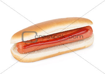 Hot dog with ketchup